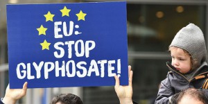 L'affaire du glyphosate comme révélateur de la mauvaise santé de l'Europe