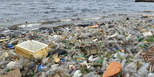 La Nouvelle-Zélande interdit à son tour les sacs plastique : pourquoi il y a urgence