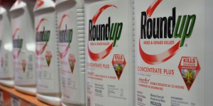 Procès RoundUp : pourquoi son équivalent est difficile à imaginer en France