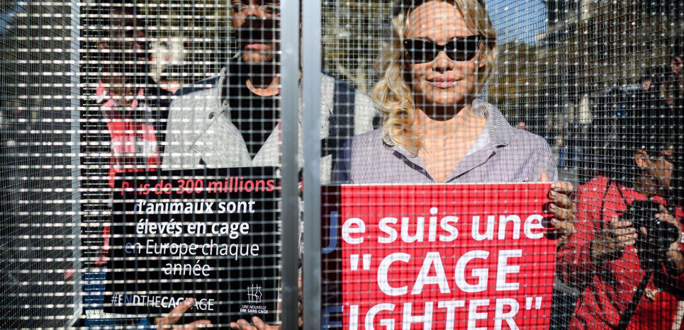 Pamela Anderson et Yannick Jadot en cage contre la maltraitance animale