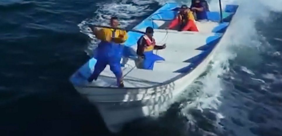 Des braconniers attaquent violemment le bateau de l'ONG Sea Shepherd