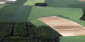 Des champs dans les Yvelines touchés par une importante fuite d'hydrocarbures