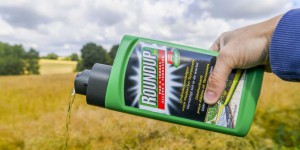 Glyphosate : Monsanto doit répondre d'un autre cancer devant la justice aux Etats-Unis