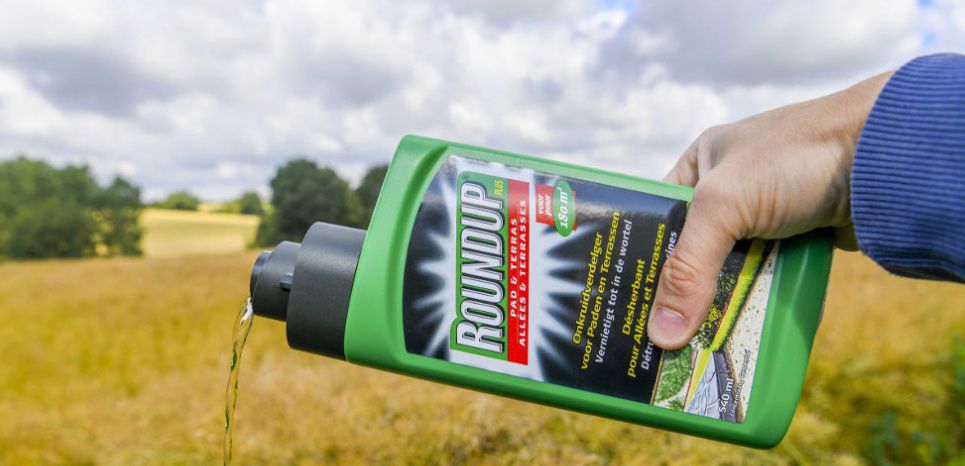 Procès Roundup : Monsanto condamné à payer plus de 80 millions de dollars à un malade du cancer