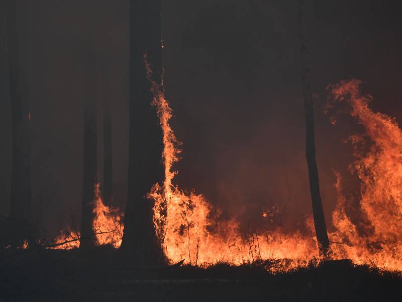 Canada, Russie, Espagne, Chili… Plus précoce et plus intense, la saison des feux de forêt a déjà commencé