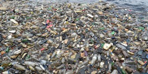 WWF appelle à une interdiction mondiale des plastiques à usage unique