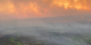 Feux de forêt au Canada : le Québec touché par des incendies « jamais vus »
