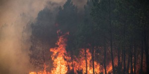 « La météo des forêts ne vise pas à prévenir les incendies mais à faire prendre conscience du risque »