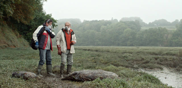 « Les Algues vertes », le film que le lobby agroalimentaire breton a combattu