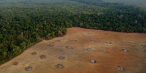 La déforestation de l’Amazonie au Brésil a baissé d’un tiers au premier semestre 2023
