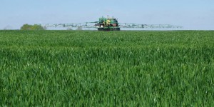 Glyphosate : des experts sanitaires européens donnent leur feu vert à la réautorisation de l’herbicide