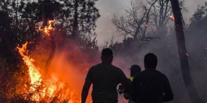 Incendies en Algérie : au moins 34 personnes tuées
