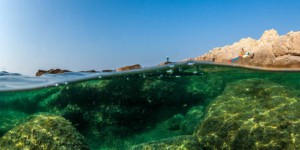 La Méditerranée a battu son record de température journalière avec 28,7 °C à la surface