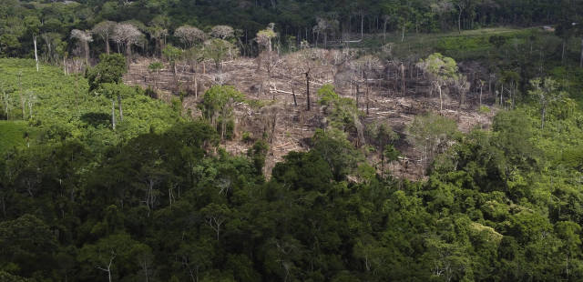 Déforestation, changement climatique… : l’humanité s’enfonce encore plus au-delà des « limites planétaires »