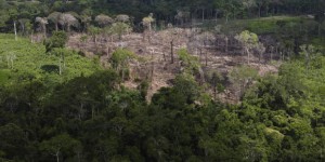 Déforestation, changement climatique… : l’humanité s’enfonce encore plus au-delà des « limites planétaires »