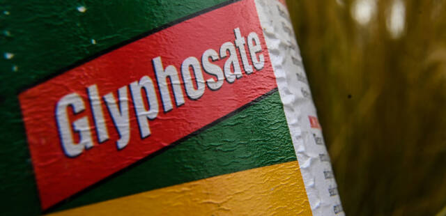 Glyphosate : pourquoi l’Europe (et la France) rechigne tant à s’en passer