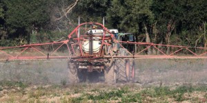 Renouvellement du glyphosate : pas d’accord à Bruxelles, un nouveau vote est prévu en novembre