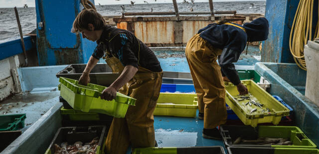 Les bateaux de pêche les plus dévastateurs sont les plus subventionnés, révèle une étude