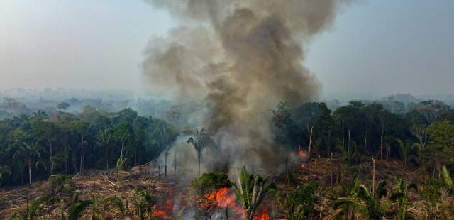 Au Brésil, près de 3 000 feux en Amazonie, record pour un mois de février