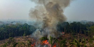 Au Brésil, près de 3 000 feux en Amazonie, record pour un mois de février
