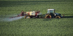 Colère des agriculteurs : c’est quoi le plan Ecophyto, mis en pause par le gouvernement ?