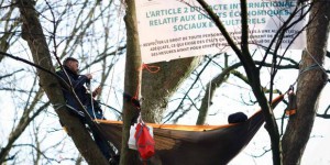 Autoroute A69 : deux militants dans un arbre à Bruxelles appellent à « faire respecter les droits » des opposants