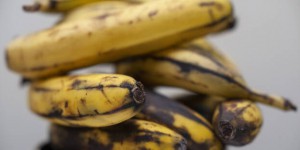 Climat : peut-on encore manger des bananes ?