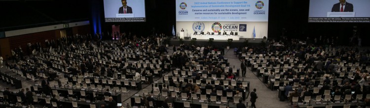 Sommet mondial sur les océans : les ONG réclament une position claire de la France